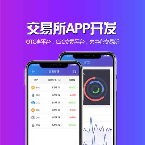東莞軟件開(kāi)發(fā)公司