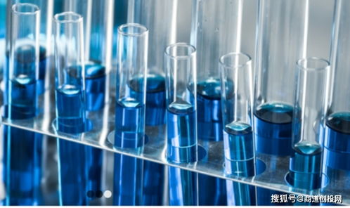 生物制品CDMO服務商鼎康生物完成超1.9億美元A輪融資，加速產(chǎn)業(yè)布局