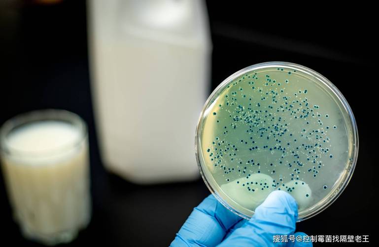 乳制品廠如何有效去除微生物污染