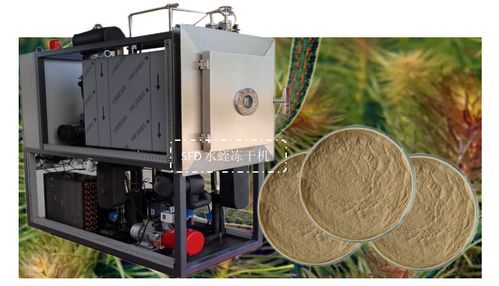 生物制品凍干機在水蛭凍干粉加工中的應用